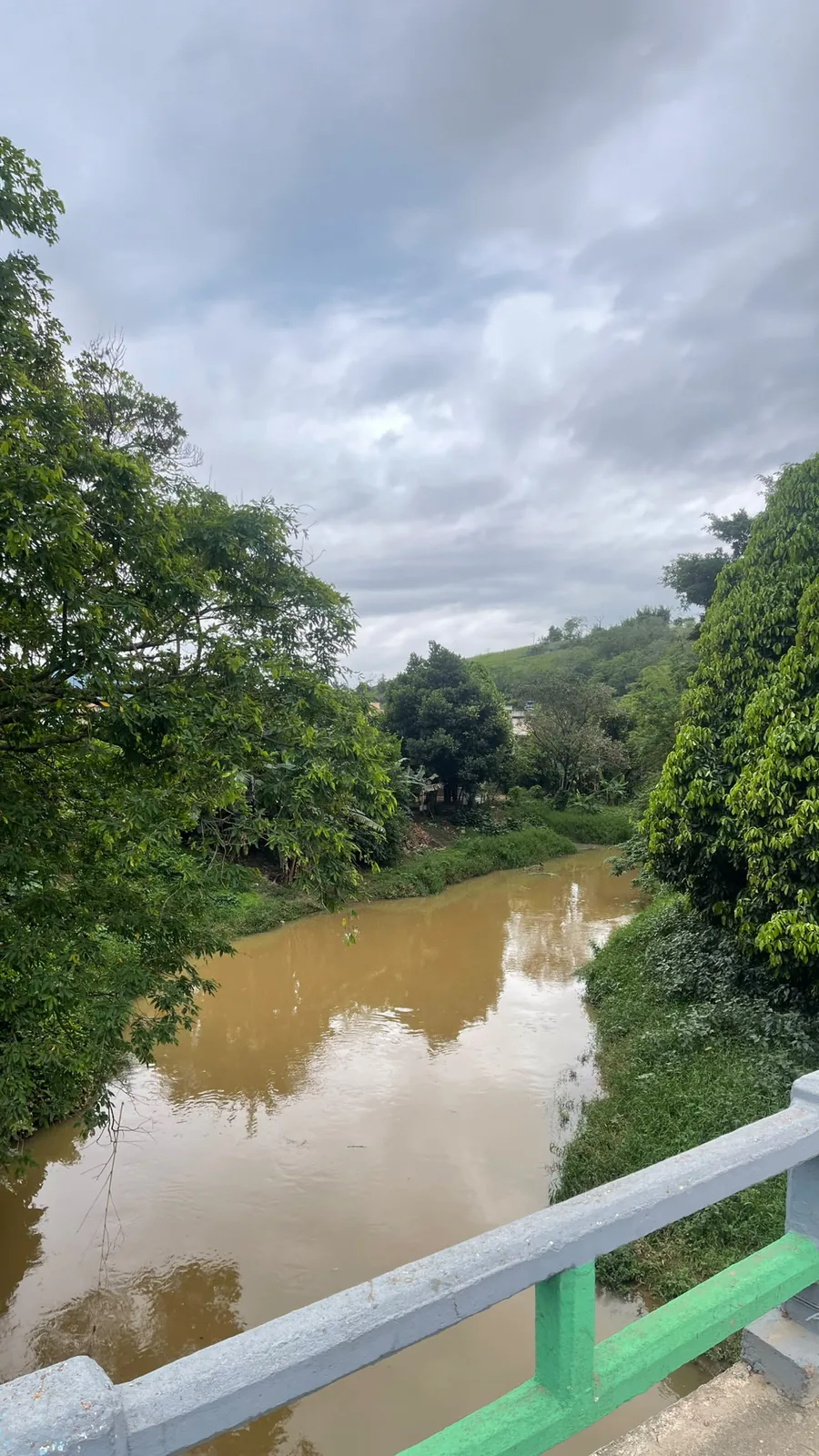 O Rio Pirapetinga visto da ponte, com a água barrenta e as árvores nas margens